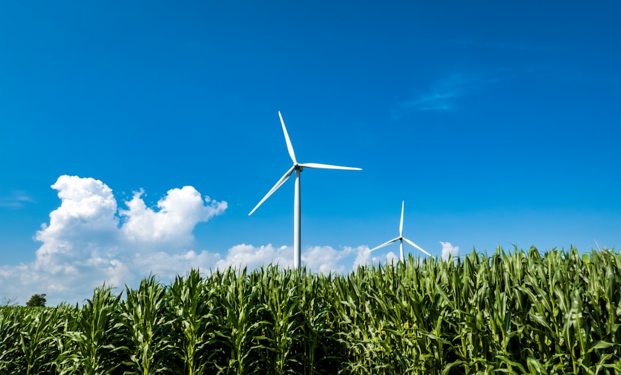 Eco-Innovation Projects